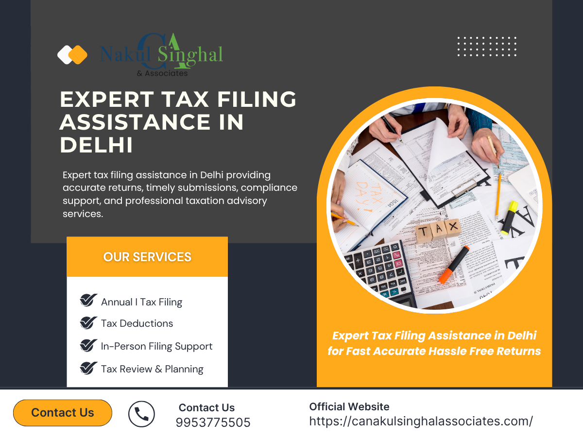 Expert tax filing assistance in Delhi